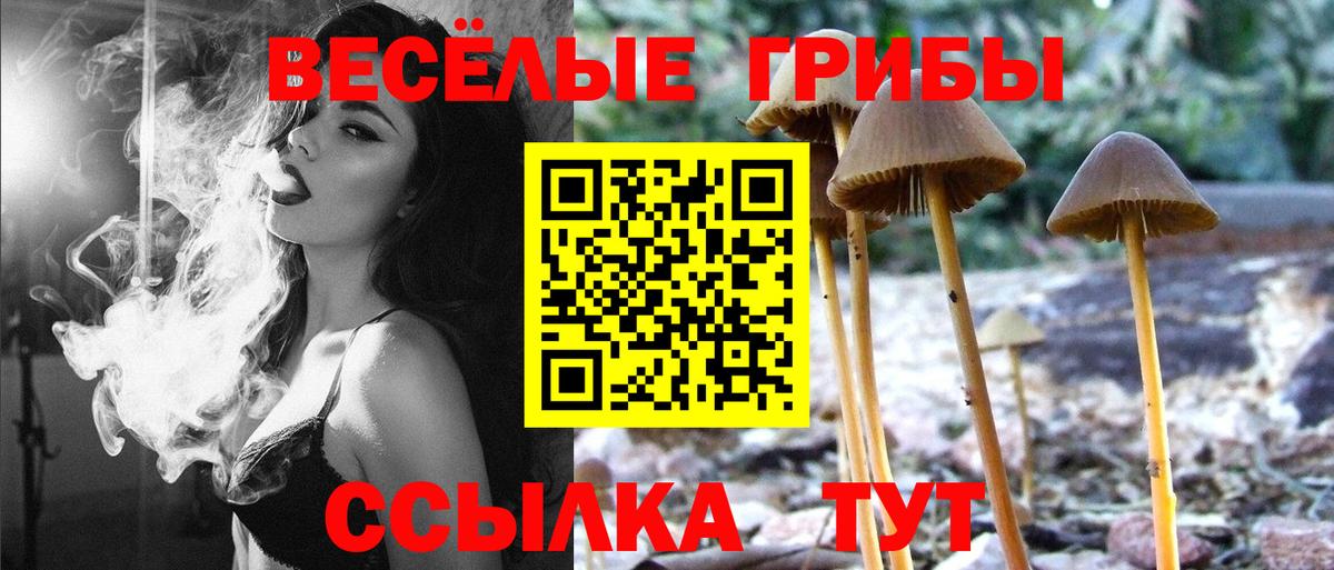 Галлюциногенные грибы ЛСД  Вход с VPN  Сатка 