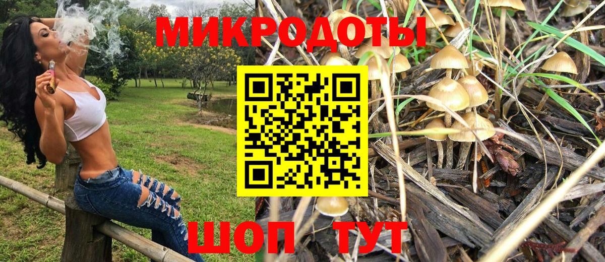 Галлюциногенные грибы GOLDEN TEACHER Сатка